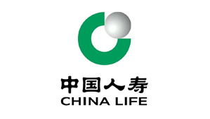 中国人寿保险